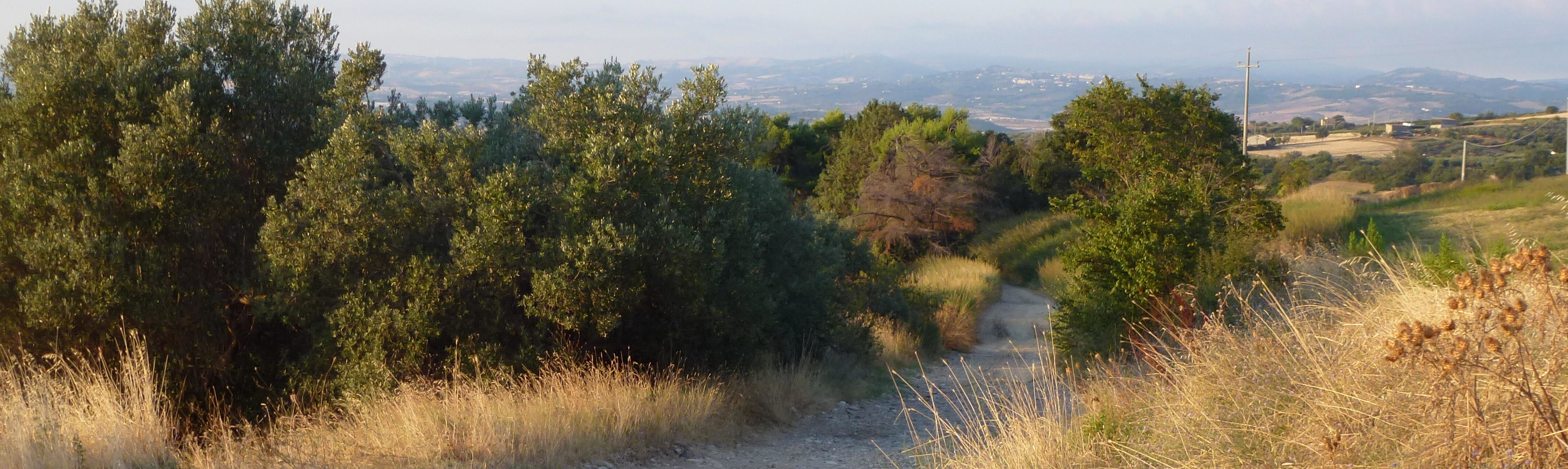 5 - Da Guglionesi a San Martino in Pensilis
